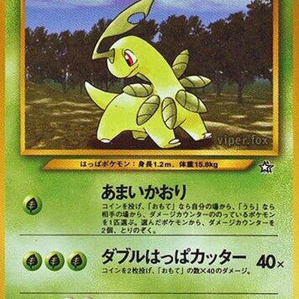 0-bayleef