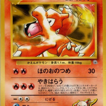 0-blainescharmeleon
