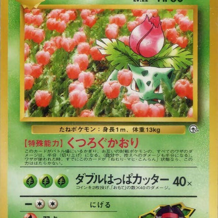 0-erikasivysaur