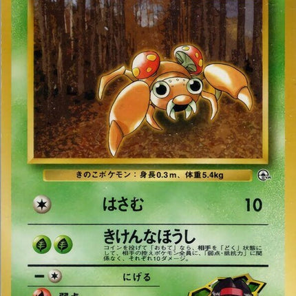 0-erikasparas
