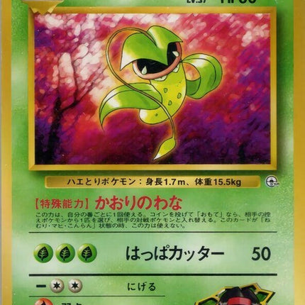 0-erikasvictreebel