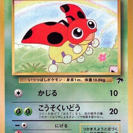 0-ledyba