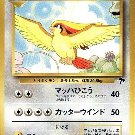 0-pidgeot
