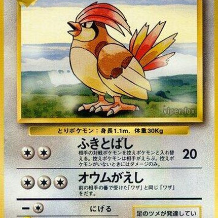 0-pidgeotto