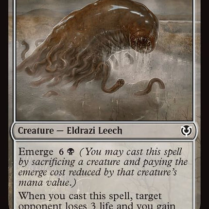 1-abundantmaw