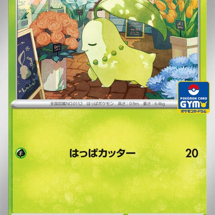 1-chikorita