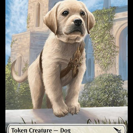 1-dog