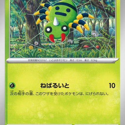 1-spinarak