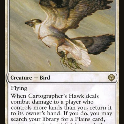 10-cartographershawk
