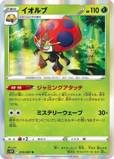 10-orbeetle
