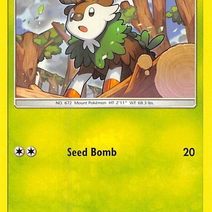 10-skiddo