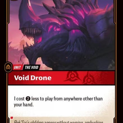 10-voiddrone