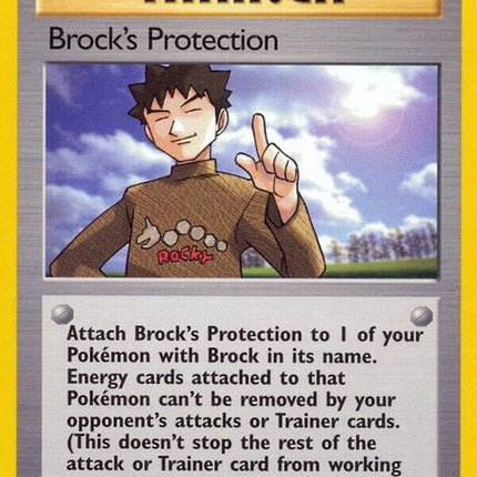 101-brocksprotection