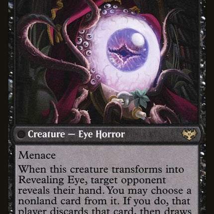 101-concealingcurtainsrevealingeye