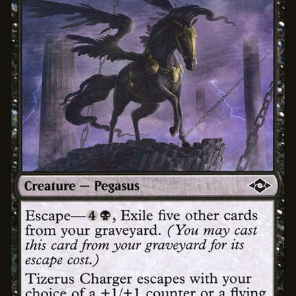 101-tizeruscharger