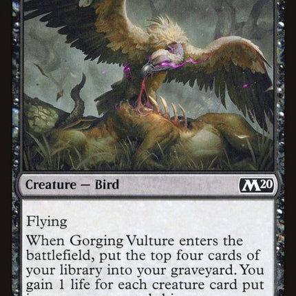 102-gorgingvulture