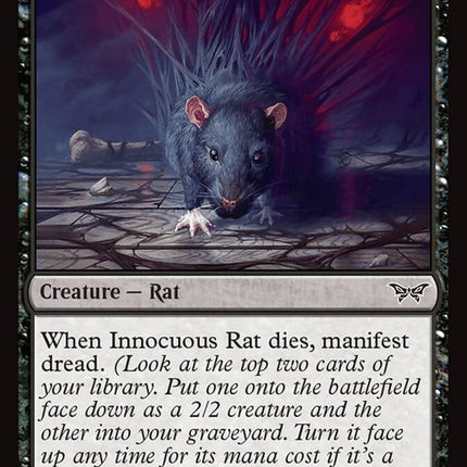 103-innocuousrat