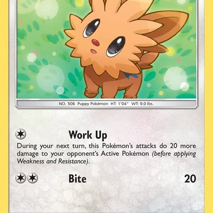 103-lillipup