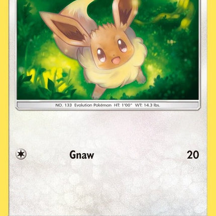 104-eevee
