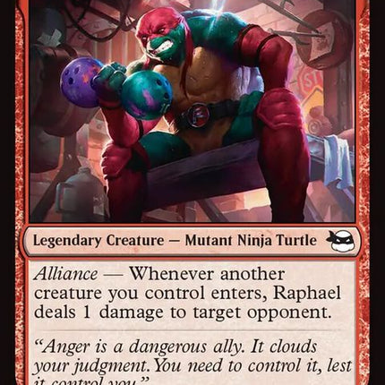 104-raphaeltoughturtle