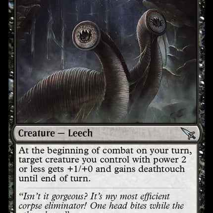 104-slimydualleech