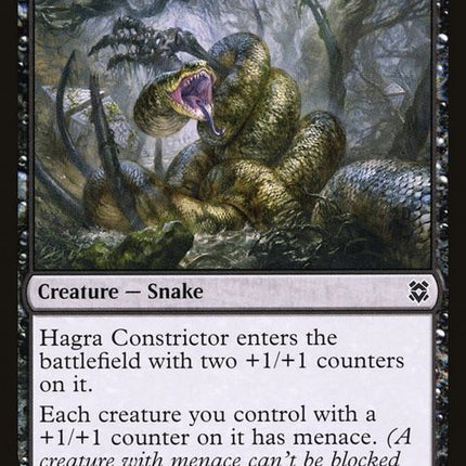 105-hagraconstrictor