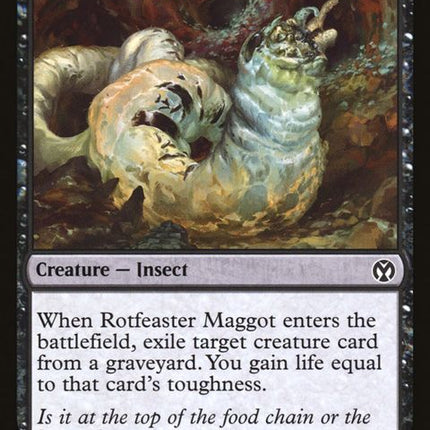 105-rotfeastermaggot