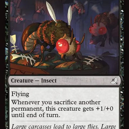 107-giantfly