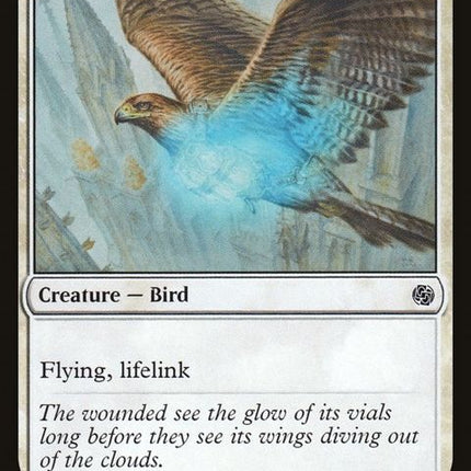 107-healershawk
