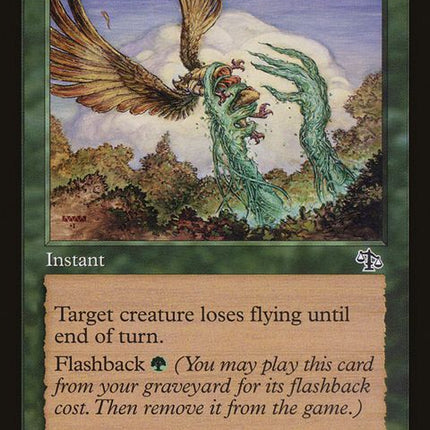 108-canopyclaws