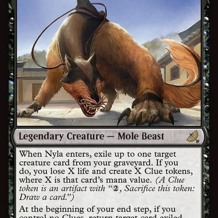 109-nylashirshusleuth