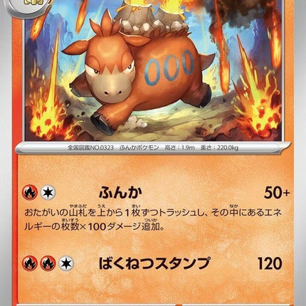 11-camerupt