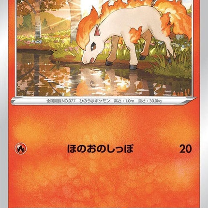 11-ponyta