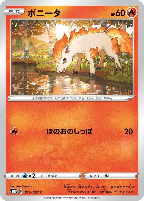 11-ponyta