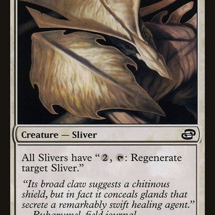 11-poulticesliver