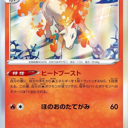 11-rapidash