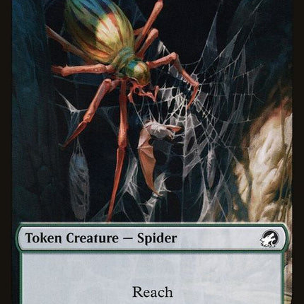 11-spider