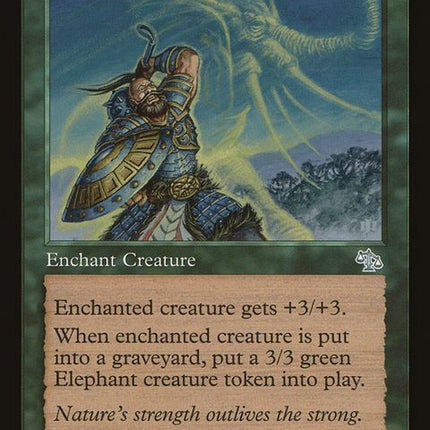 111-elephantguide