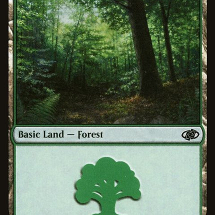111-forest