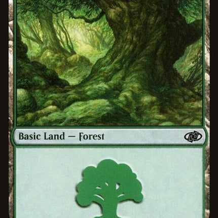 112-forest