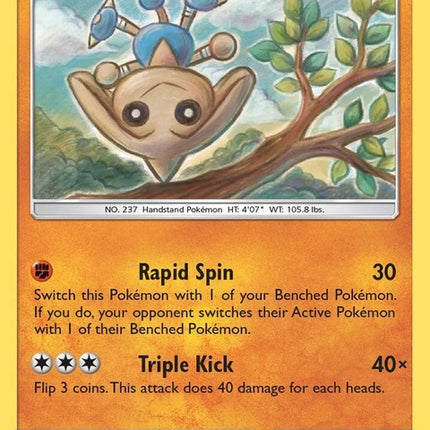 113-hitmontop