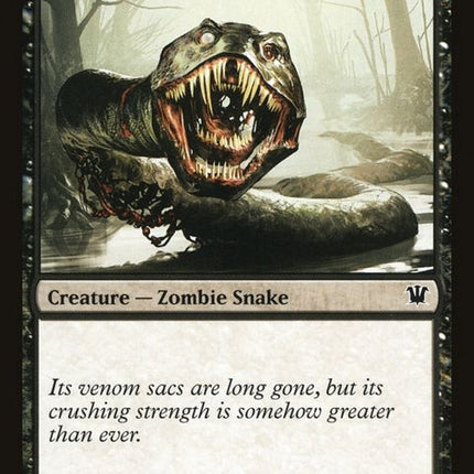 113-rottingfensnake