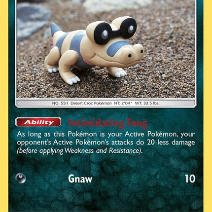 113-sandile