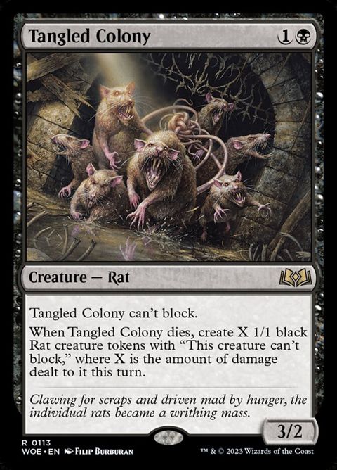 113-tangledcolony