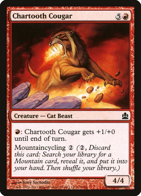 115-chartoothcougar