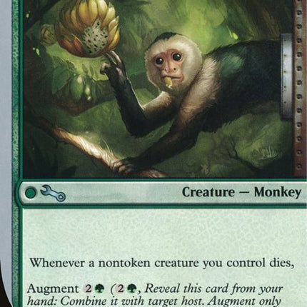 115-monkey