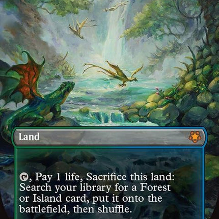 116-mistyrainforest