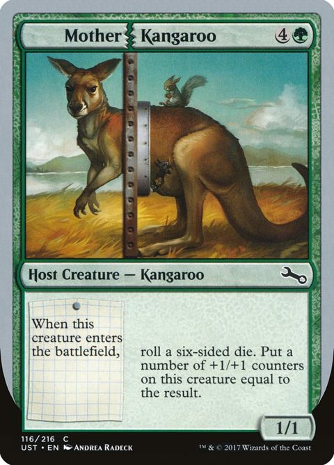 116-motherkangaroo