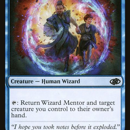 116-wizardmentor