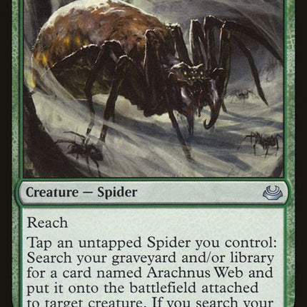117-arachnusspinner